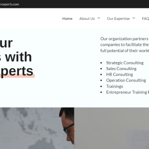 Corporate Website development- The Proxperts