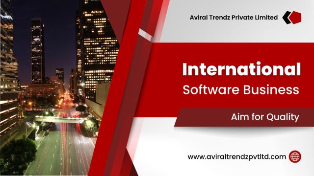 International Software Development Company